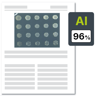 AI图片检测演示