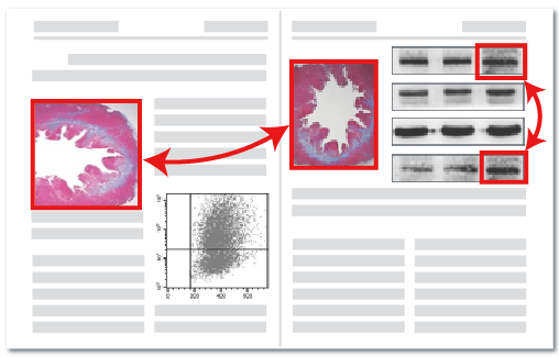 图片查重检测流程