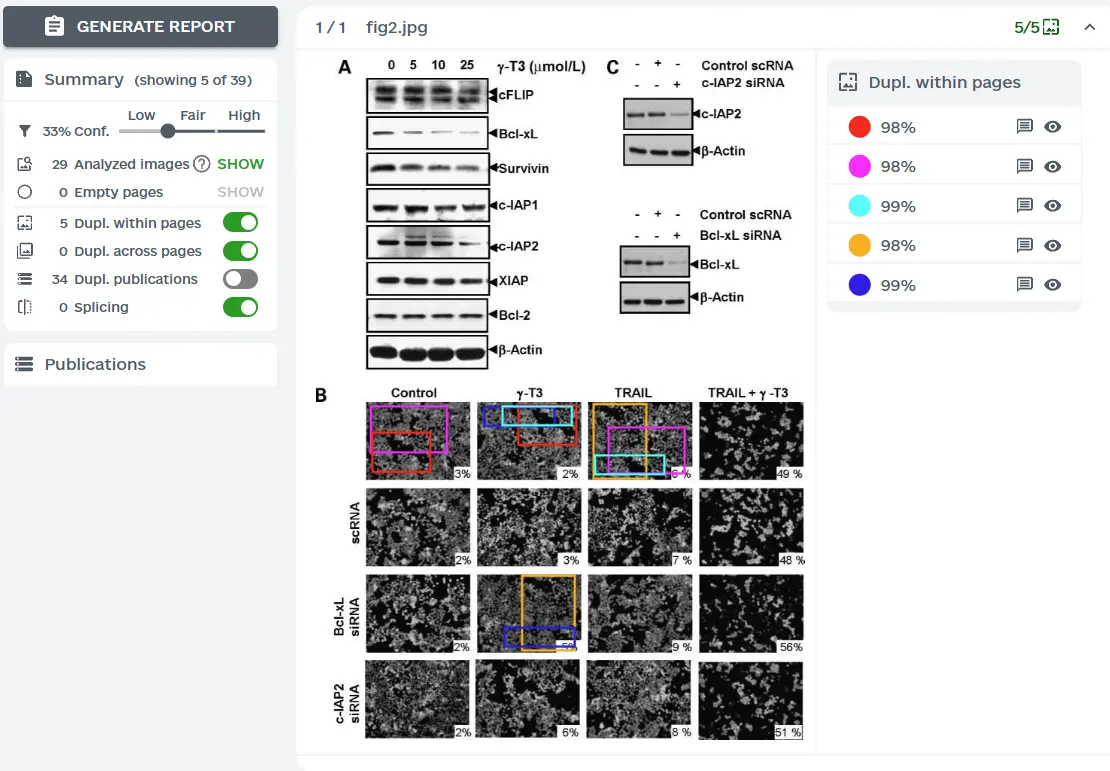 ImageTwin检测报告示例
