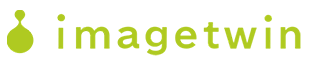 ImageTwin Logo
